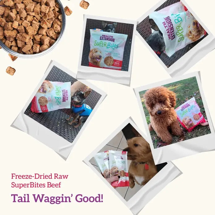 Health Extension Beef Recipe Freeze - Dried Super Bites Raw Dog Food Mixer