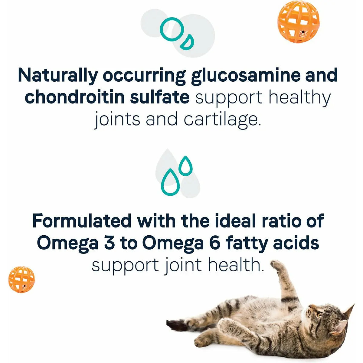 CANIDAE Premium Dry Cat Food Formula with Real Salmon for Joint Health