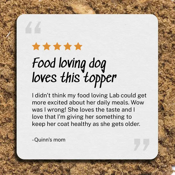 Yummers 8 oz. Beef Dog Food Topper: Skin & Coat Aid Supplement