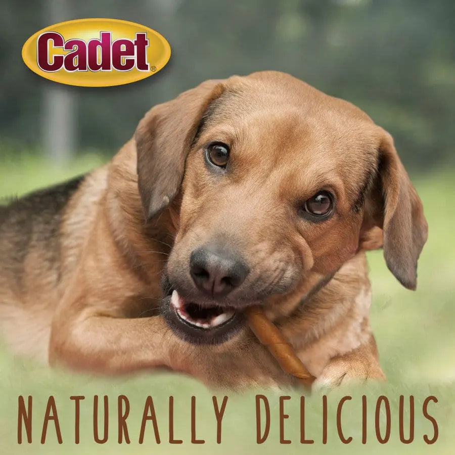Cadet® Premium 10-Inch Pork Hide Roll Dog Treats for Canine Delight