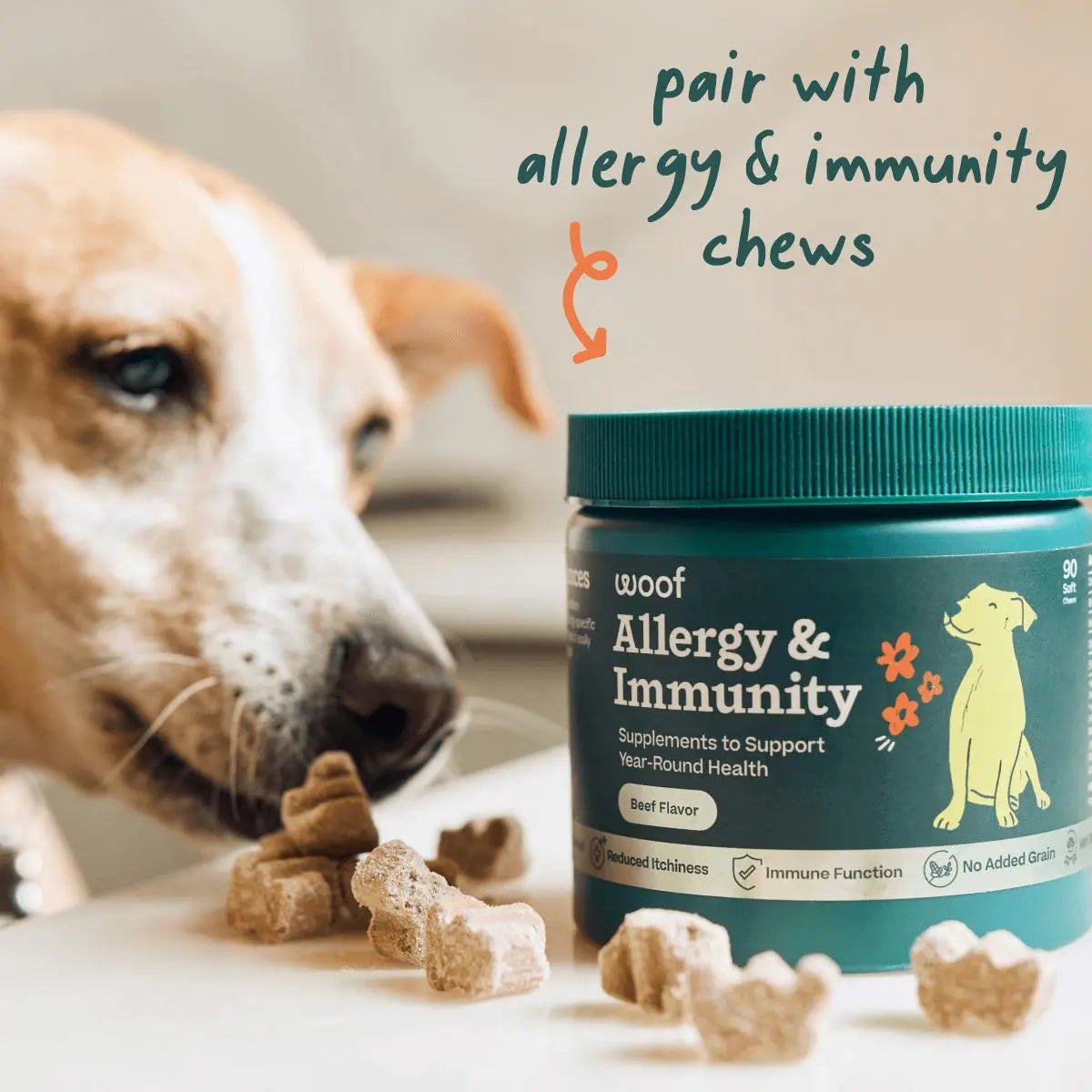 Woof Pet Long - Lasting Lickable Pupsicle Refills for Dog Allergy & Immunity