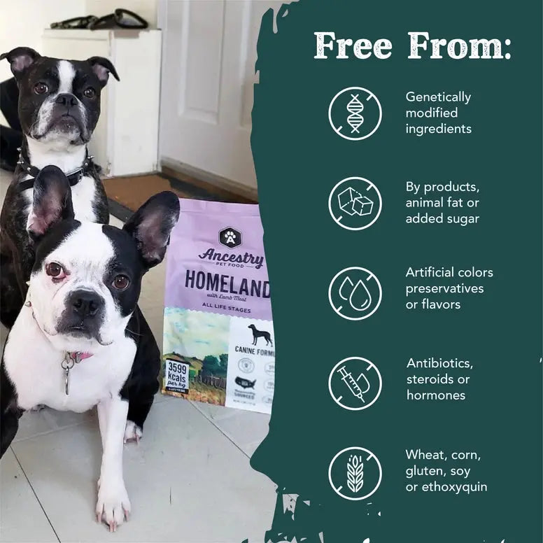 Ancestry Premium Grain - Free Dry Kibble Dog Food with Lamb Meal and Sweet Potato Formula