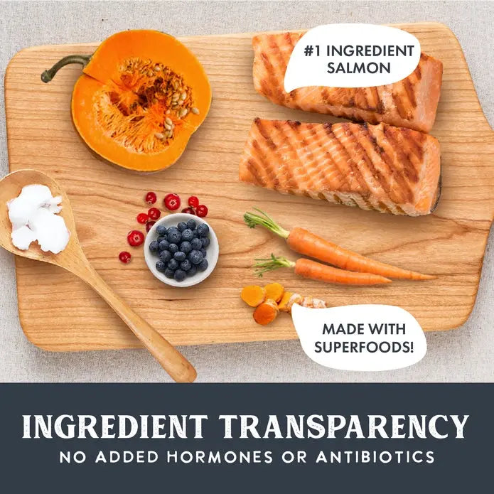 Healthy Dog Food - Health Extension Gently Air Dried Salmon Recipe, 2 Pound Bag