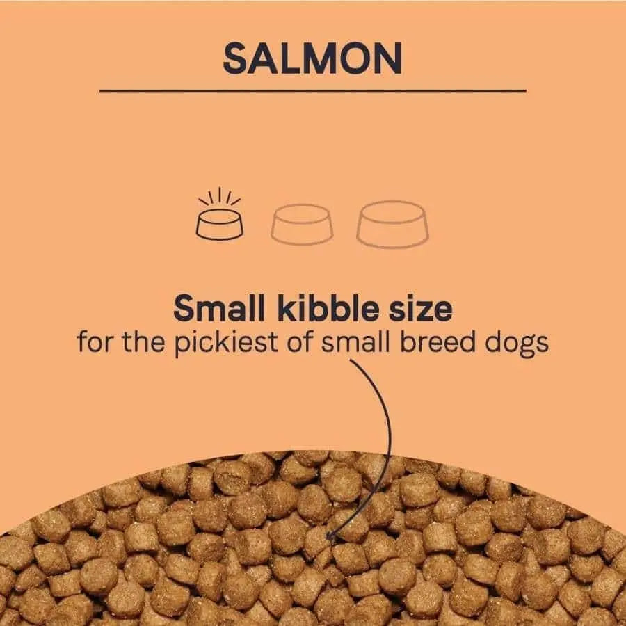 CANIDAE PURE Grain-Free Dry Dog Food for Small Breed Adult Dogs, Raw Coated with Freeze-Dried Salmon