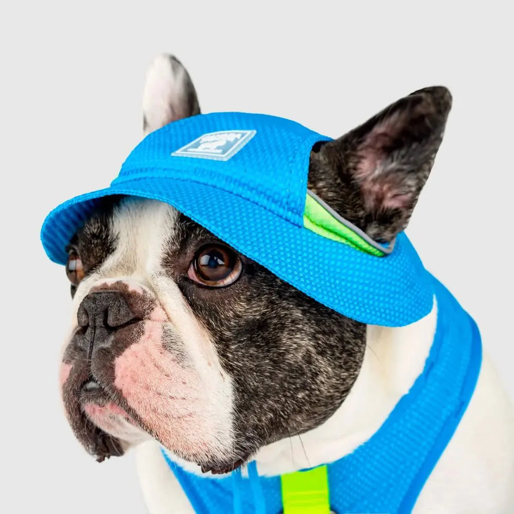 Canada Pooch Premium Cooling Dog Hat - Chill Seeker for Canine Comfort in Summer