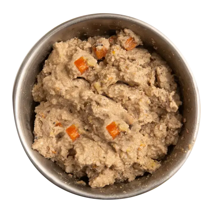 Health Extension Grain - Free Wet Dog Food with Northern Catch Salmon Recipe, Pack of 12 Cans, 12.5 oz Each