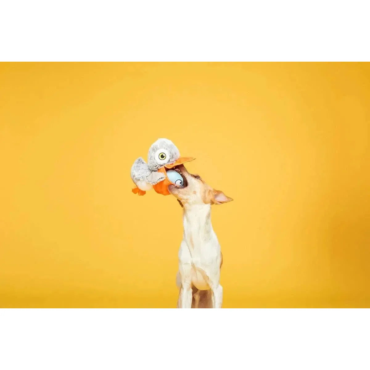 BARK Interactive Big Bill Pelican & Beak-A-Boo Fish Dual Dog Toy