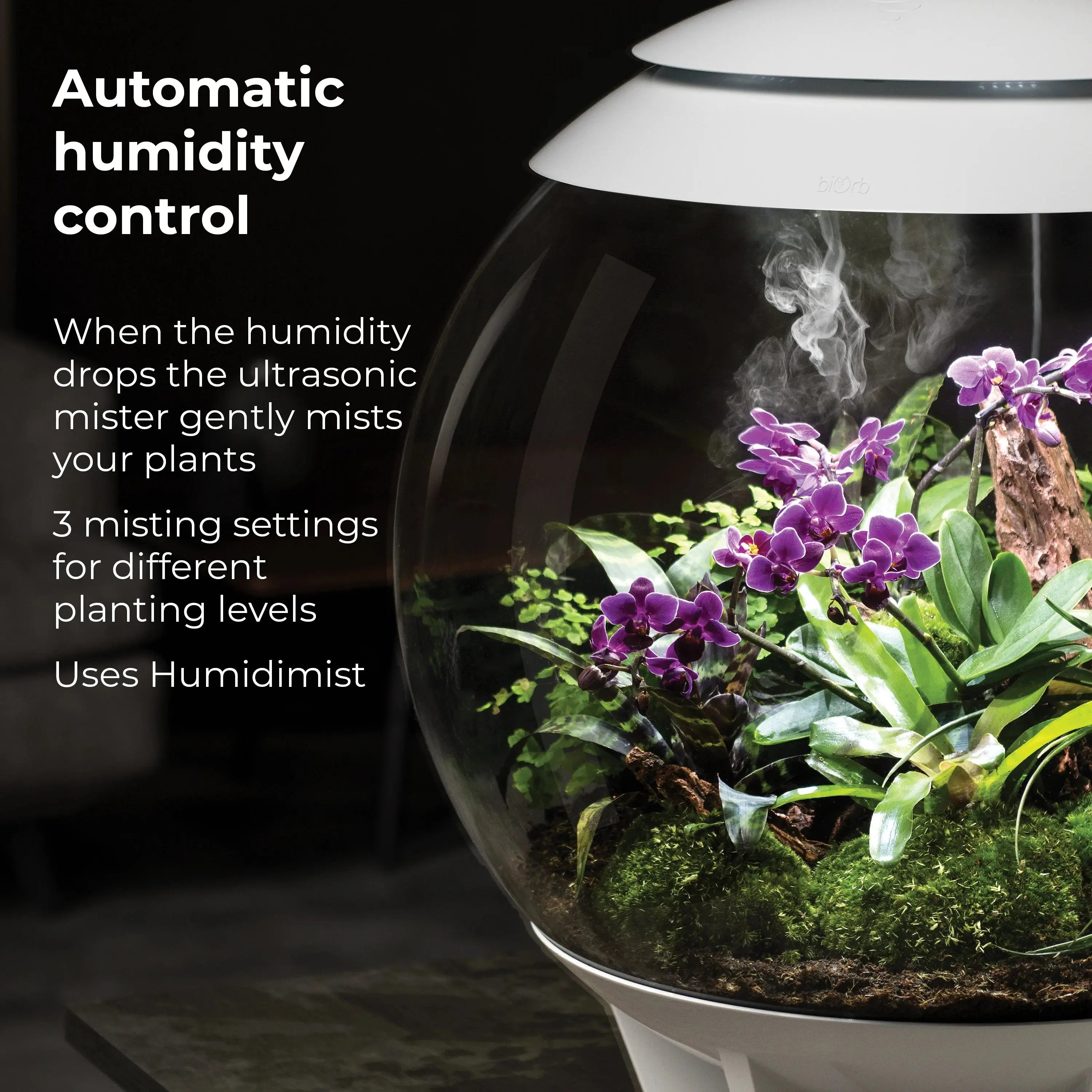 BiOrb AIR 60 Modern Glossy Terrarium for Tropical Plants and Creatures