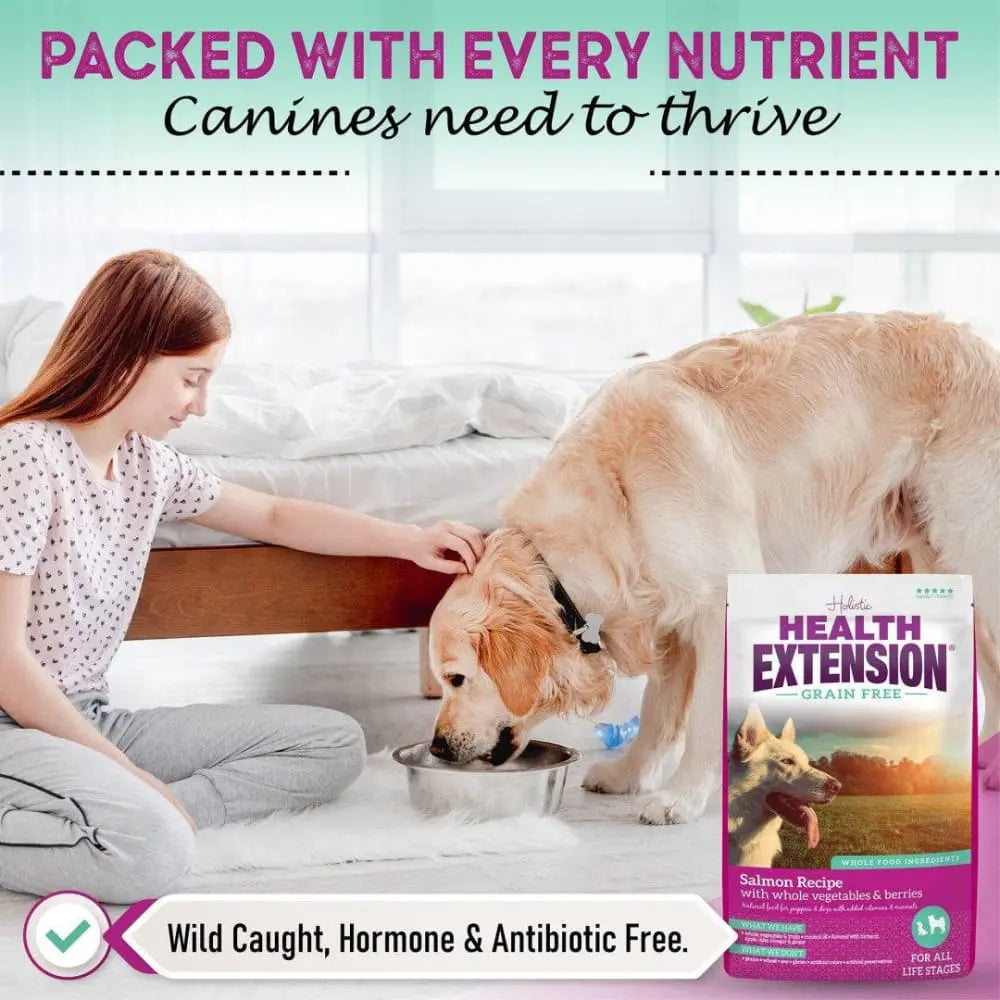 Healthy Grain-Free Salmon Dry Dog Food for Optimal Canine Wellness