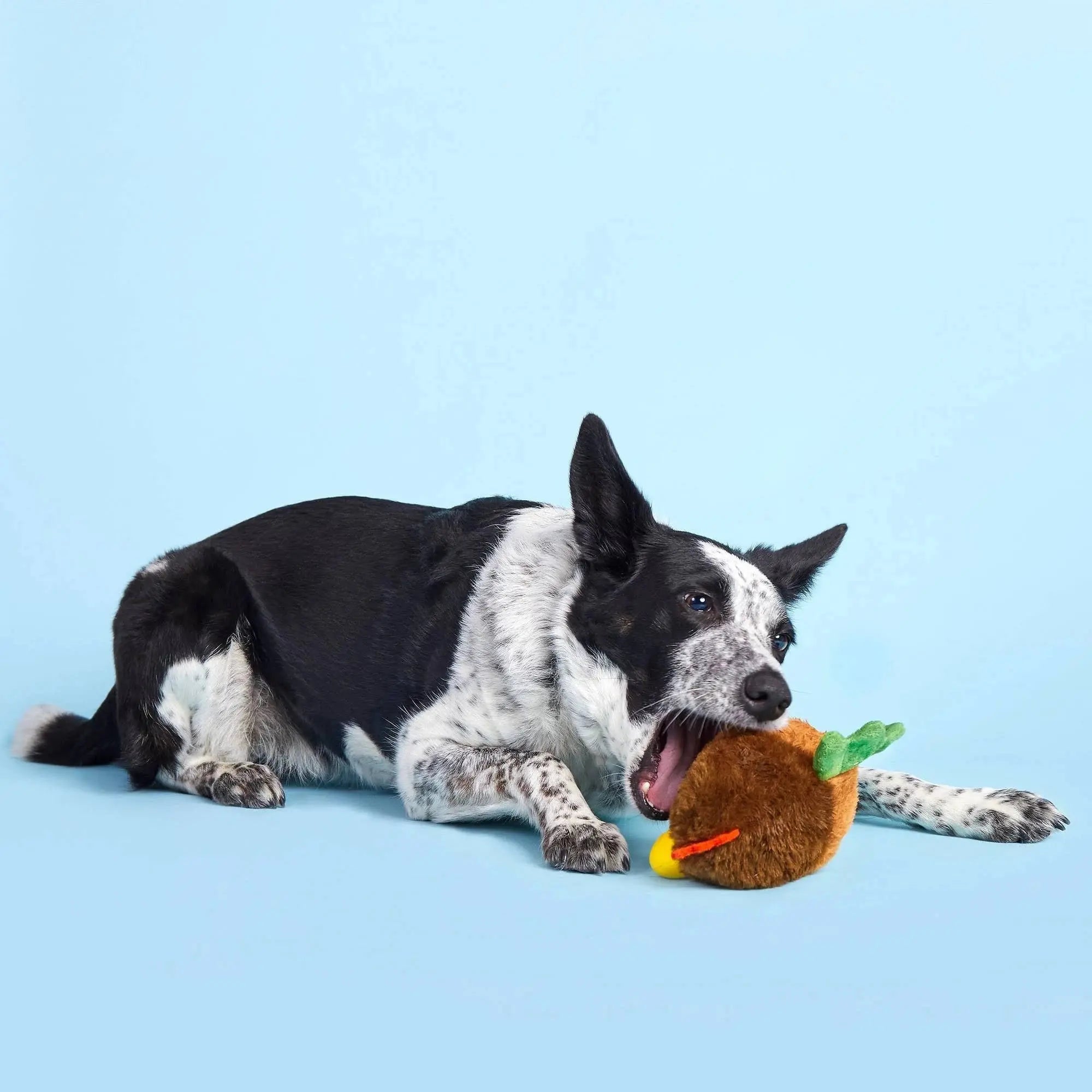BARK Fowl Play Interactive Rooster Dog Chew Toys for Active Puppies