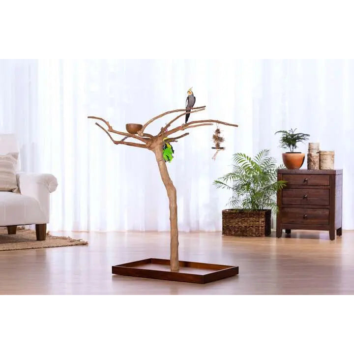 Prevue Pet Products Sustainable Coffeawood Floor Stand Perch Tree Style 2 for Large Birds