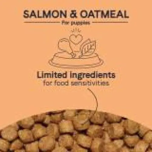 CANIDAE PURE Puppy Dry Dog Food - Real Salmon & Oatmeal Recipe with Wholesome Grains