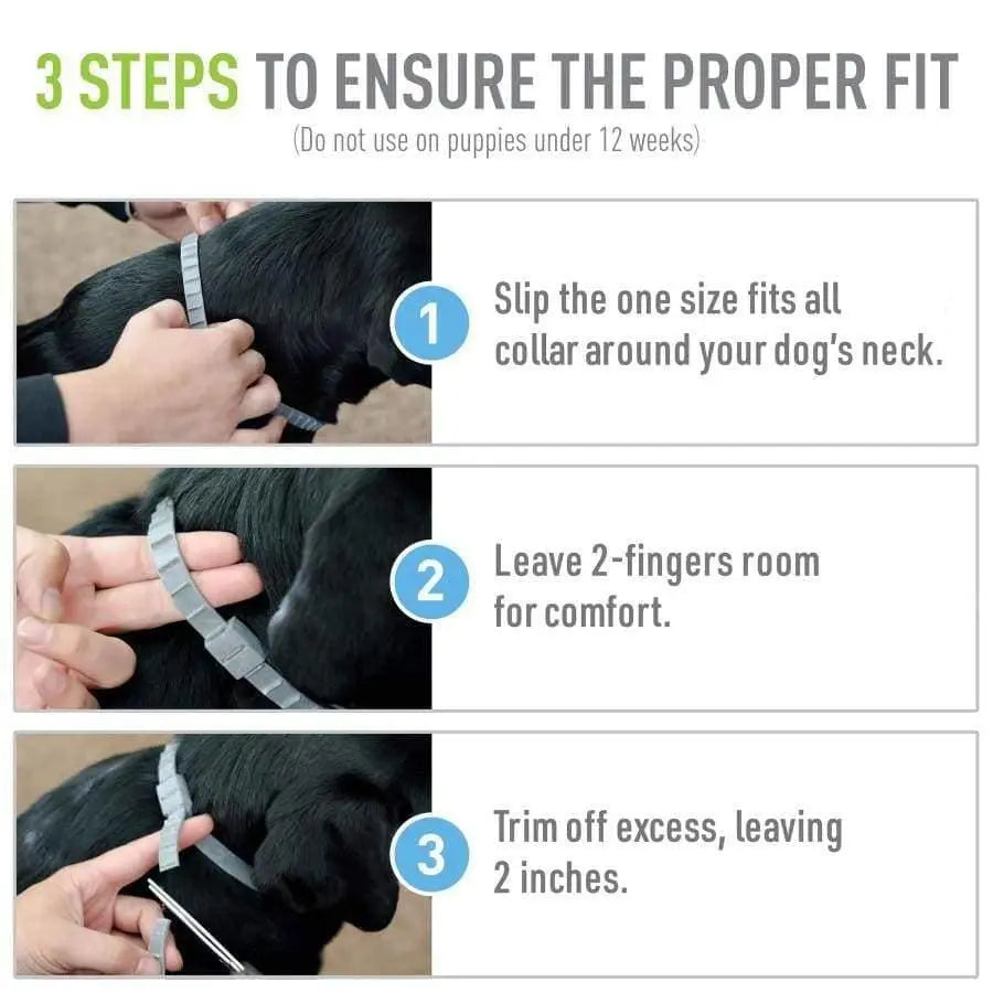 Adams 2-Pack Water-Resistant Flea, Tick & Mosquito Collar for Dogs and Puppies