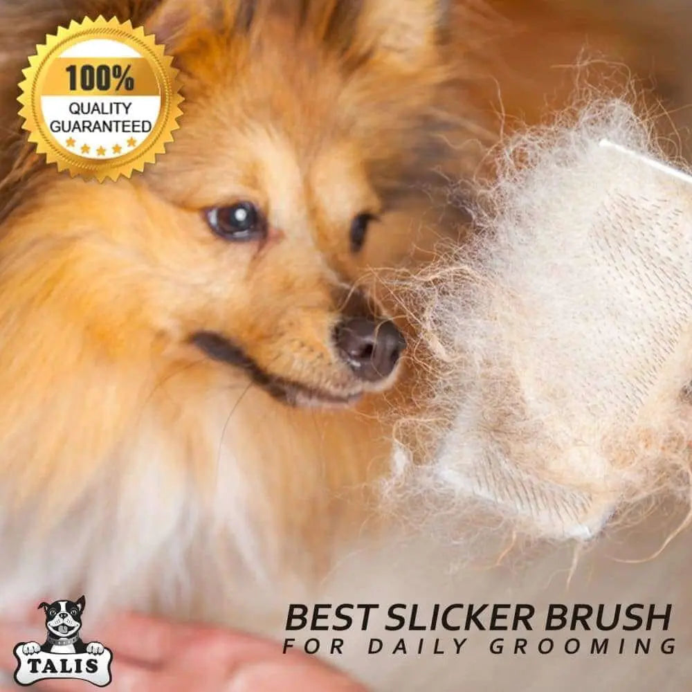 Self-Cleaning Pet Slicker Grooming Brush - An Ideal Tool for Removing Dog and Cat Hair Shedding