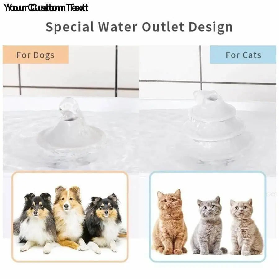 Automatic Electric Pet Water Dispenser and Feeder for Dogs and Cats