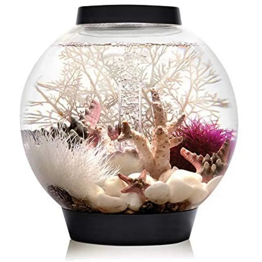 biOrb Classic 15 Four-Gallon Acrylic Aquarium with Standard White LED Lighting