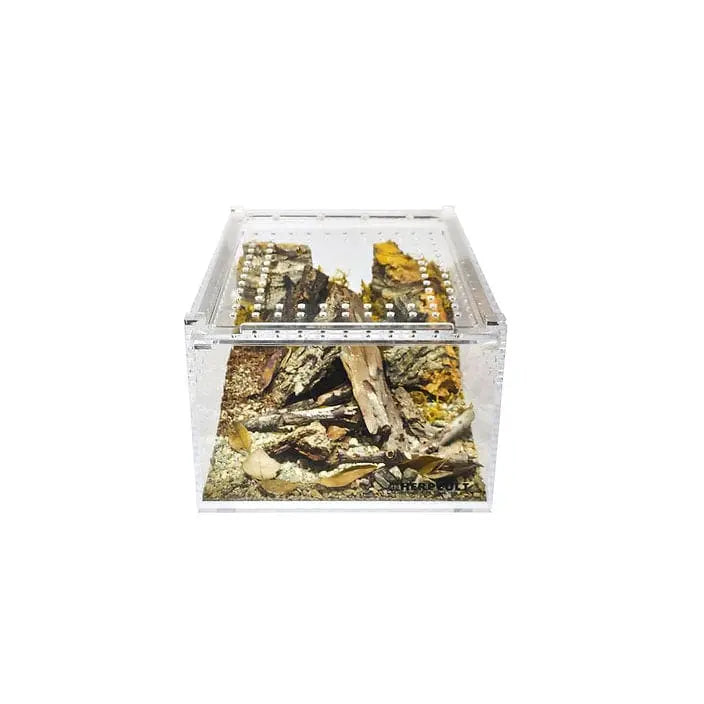 Small Flat Transparent Acrylic Enclosure - Ideal Terrarium Cage for Tarantula and Scorpion Breeding
