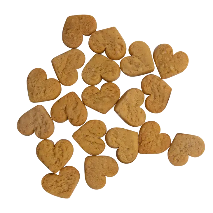 Health Extension Impawfect Soft & Chewy Pumpkin and Ginger Dog Treats for Digestive Support - 4.5 Ounce Package