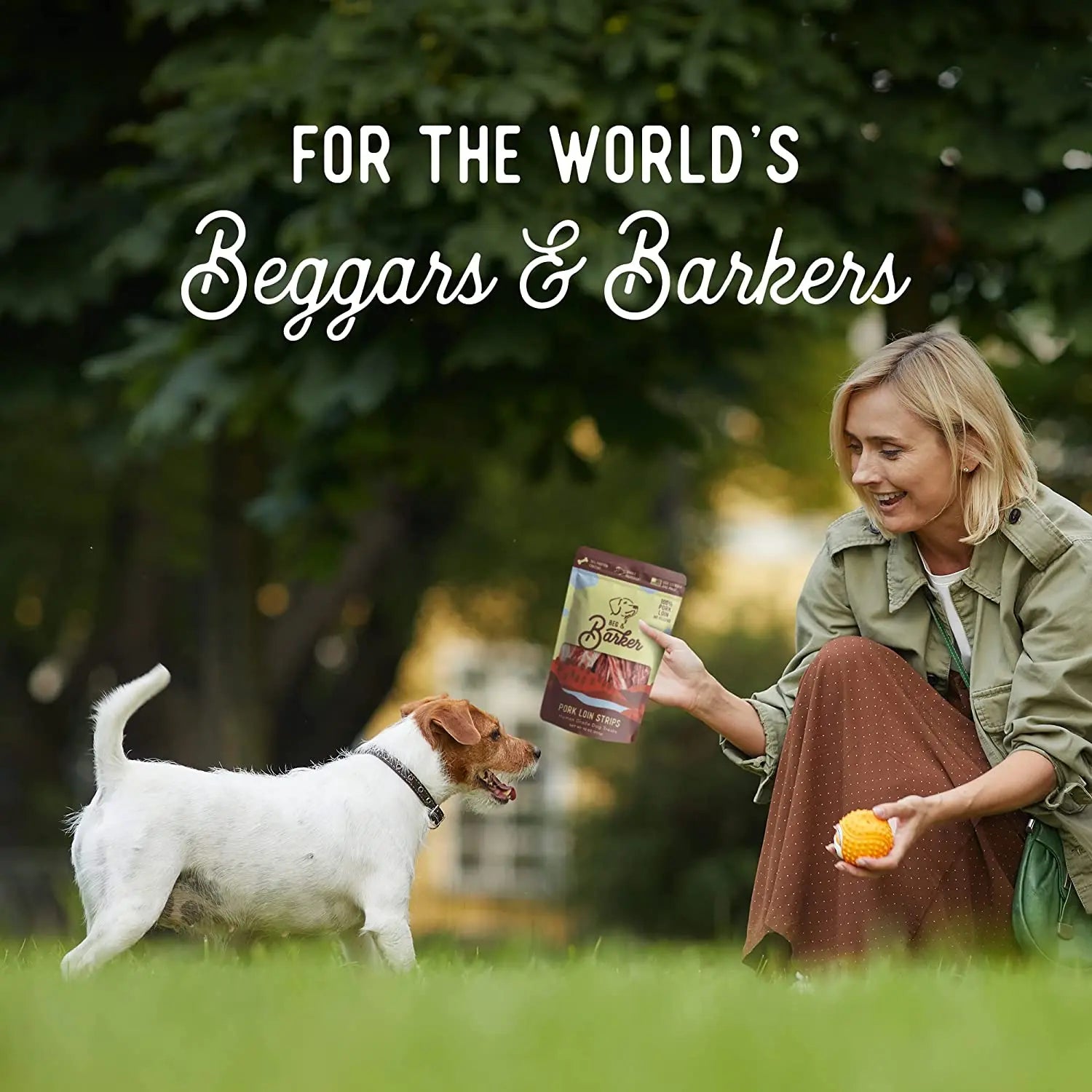 High - Quality Beg & Barker All - Natural Air - Dried Pork Loin Strip Dog Treats