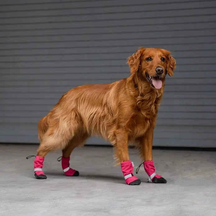 Canada Pooch Waterproof Soft Shield Boots for Dogs