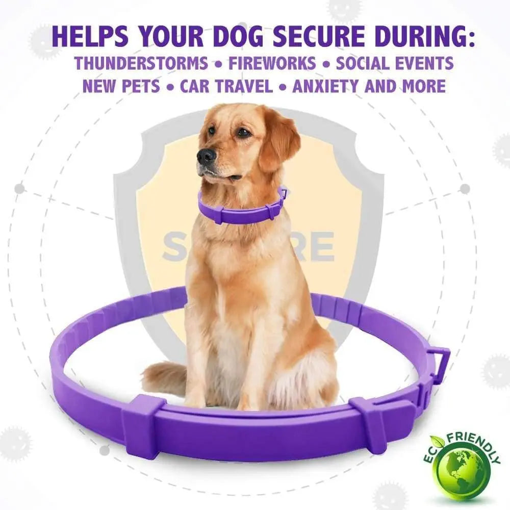 All - Natural Calming Collar for Dogs to Help Your Furry Friend Feel Secure, Happy and Relaxed