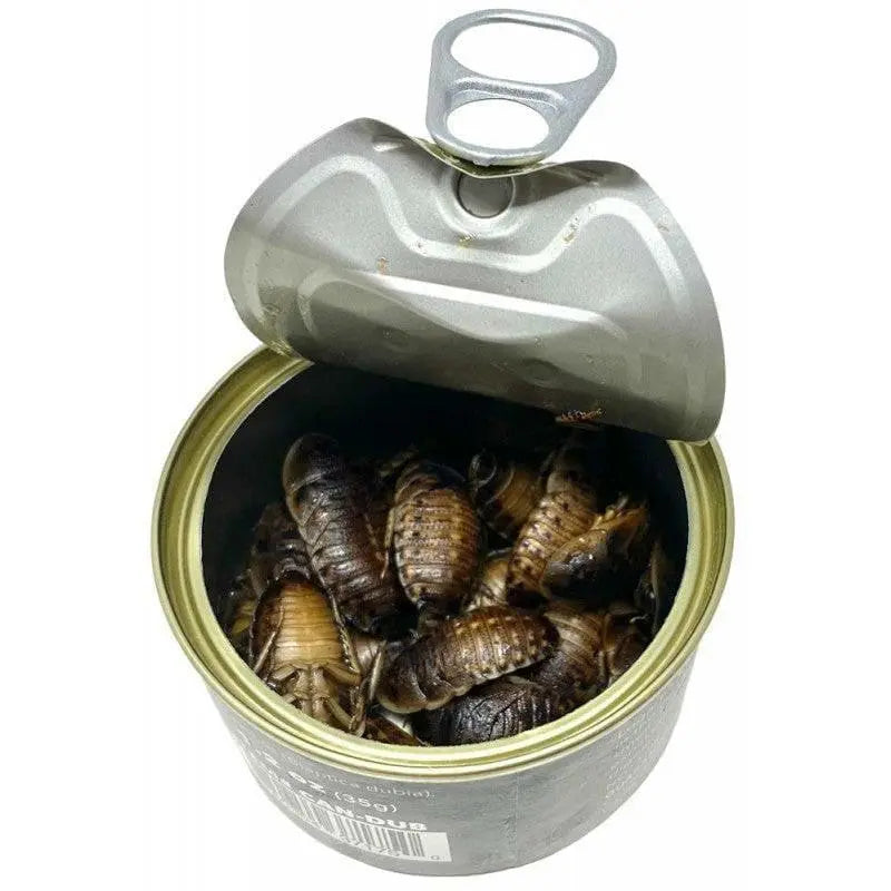 High - Quality Canned Reptile Feed: Dubia Roaches for Insectivorous Pets