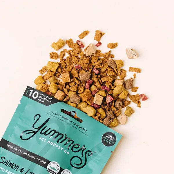 Delicious Yummers Dog Food: Salmon & Lamb Recipe with Freeze - Dried Proteins