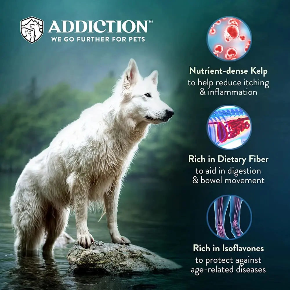 High - Quality Addiction Zen Vegetarian Grain - Free Dry Dog Food for Canine Companions