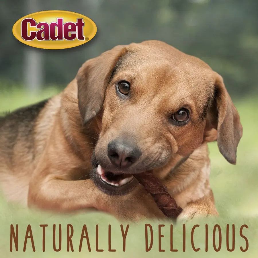 Cadet Gourmet Premium Triple - Flavored Pork Hide Twists Dog Treats