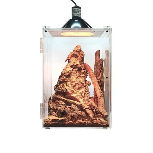 High - Grade Acrylic Front - Opening Terrarium Cage for Reptiles, Insects, Scorpions, and Amphibians