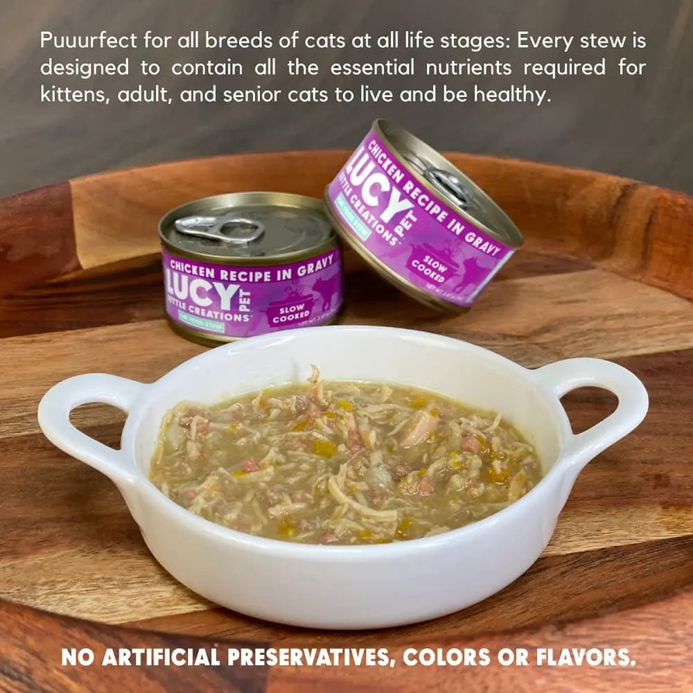 Lucy Pet Products Kettle Creations Gourmet Adult Wet Cat Food Pack of 12 Cans, Each 2.75 Ounces