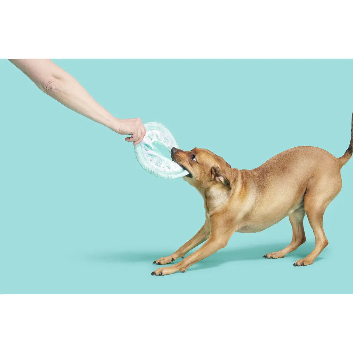BARK Puppy Fresh Breath Mint - Ideal Dog Toys for Playtime