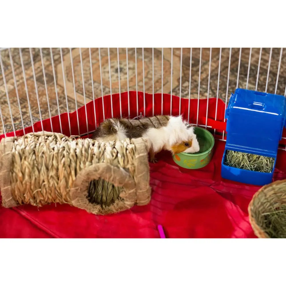 Prevue Pet Products White Indoor/Outdoor Playpen for Ferrets, Rabbits & Guinea Pigs