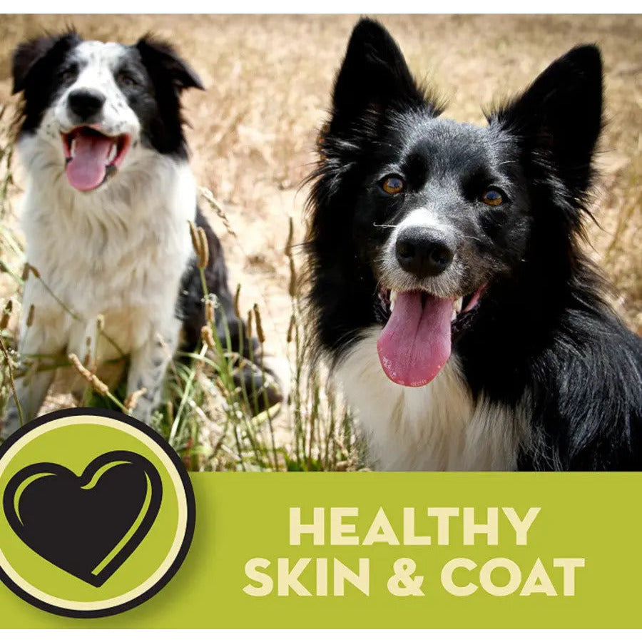 AvoDerm Natural Premium Chicken Meal and Brown Rice Dry Puppy Food