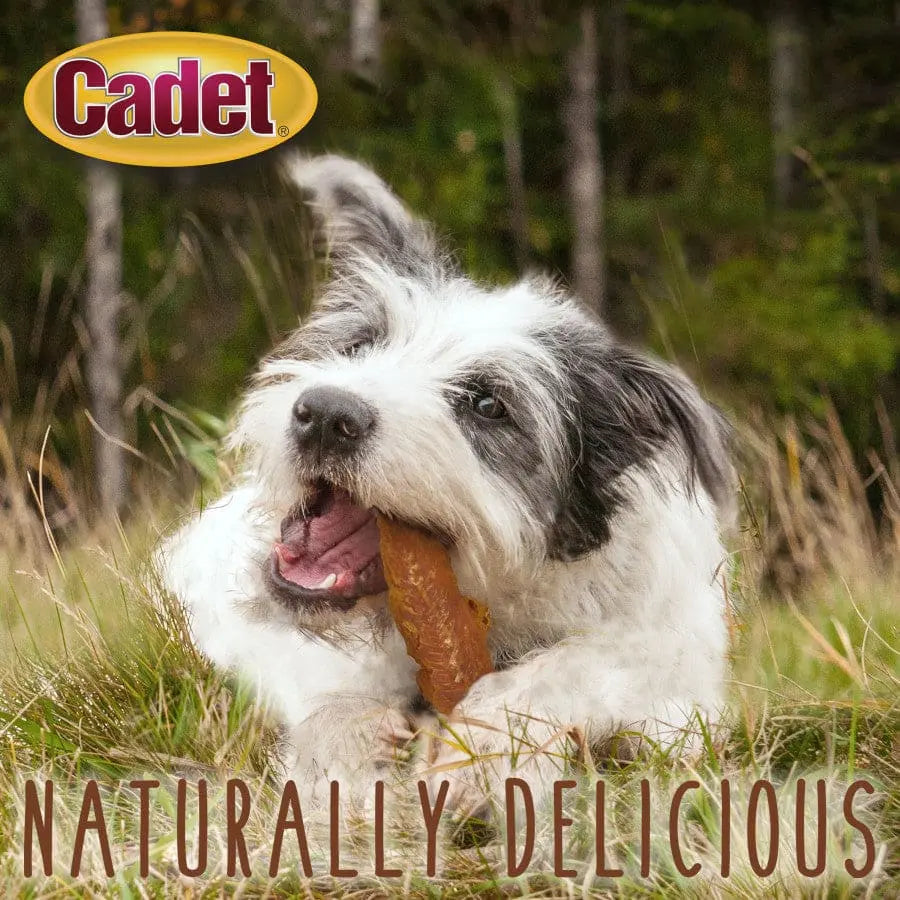 Cadet Gourmet Oven - Roasted Low - Fat Chicken Breast Dog Treats