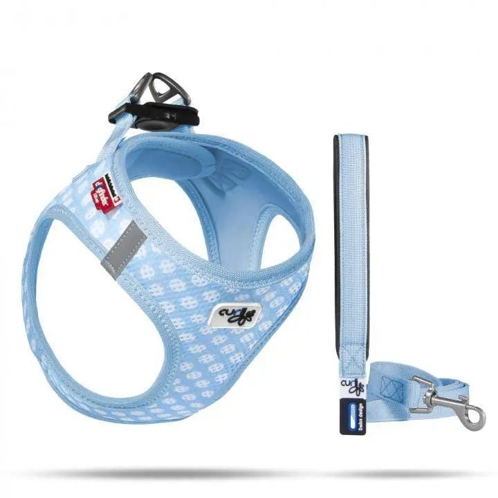 Lightweight Air-Mesh Vest Harness with Matching Leash for Small Puppies