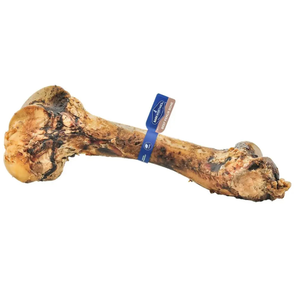 Barkworthies 5 - count Baked Femur Bone Dog Treats for Medium to Large Breeds