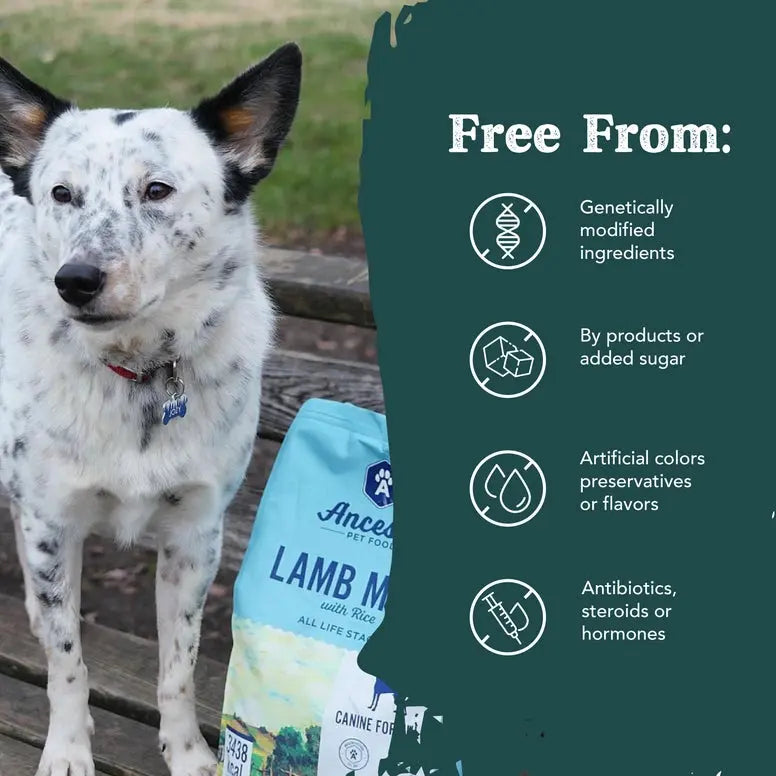 Ancestry Premium Lamb Meal & Brown Rice Dry Kibble Dog Food for All Life Stages