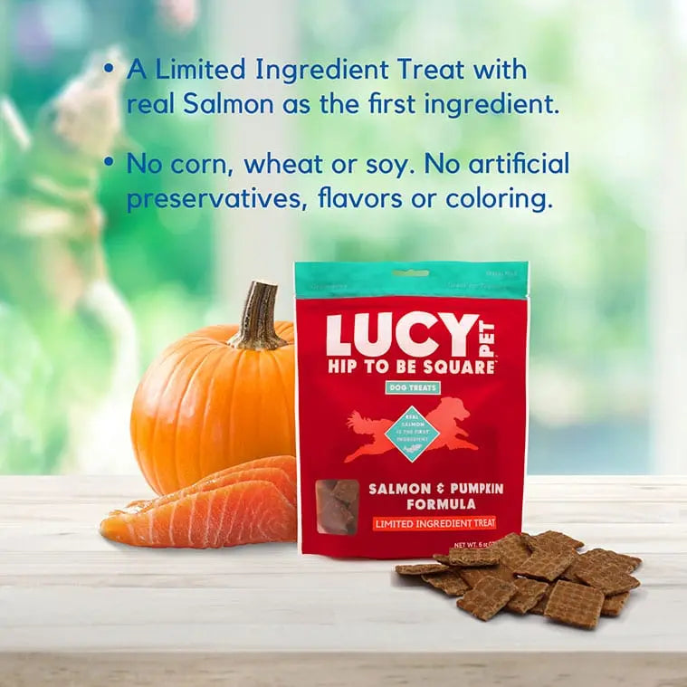 Lucy Pet Products High - Quality Limited Ingredient Salmon & Pumpkin Dog Treats