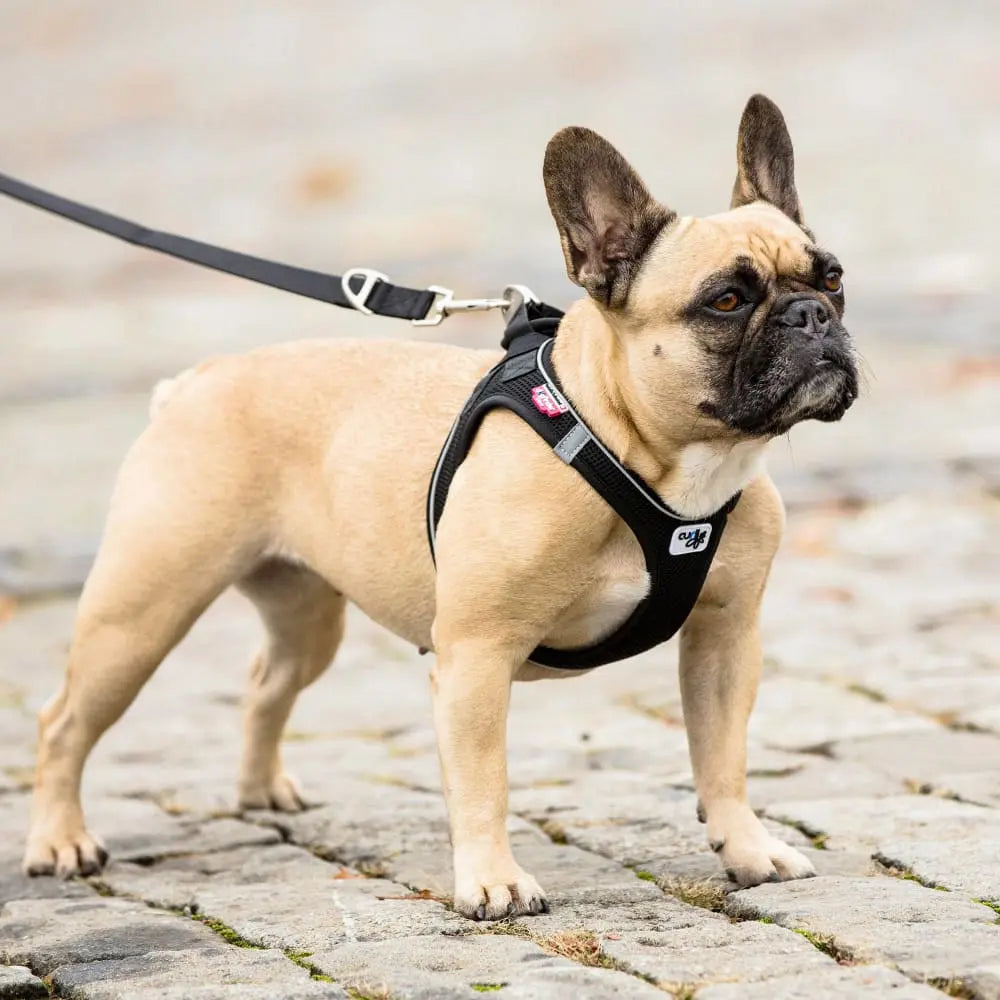 High - Quality Magnetic Harness Vest for No - Pull Control of Small and Medium - Sized Dogs