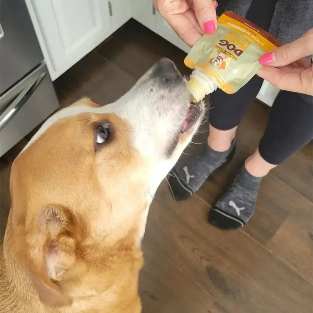 2oz Poochie Butter Squeeze Pack with Medium-Sized Toy Filler