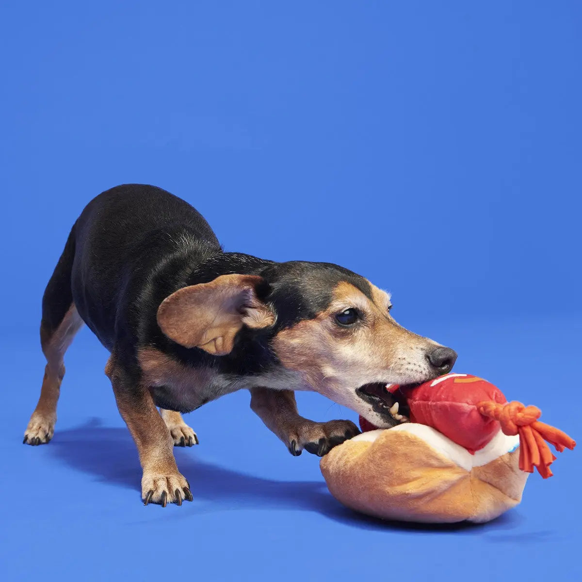 BARK Fourth Of July BBQ Plush Interactive Dog Toy for Patriotic Play