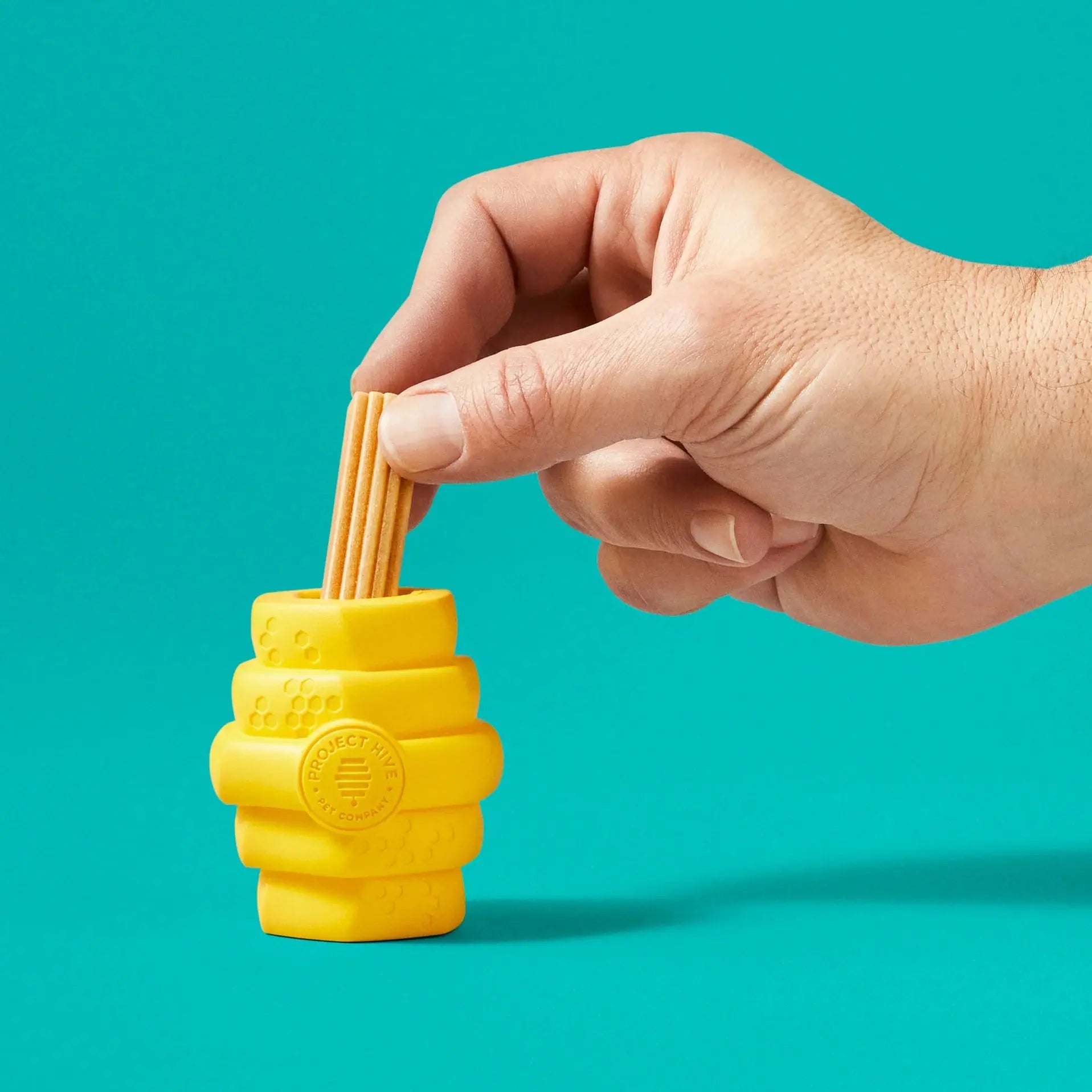 Project Hive Pet Company's Exceptionally Durable Chew and Fetch Toy for Small Canines