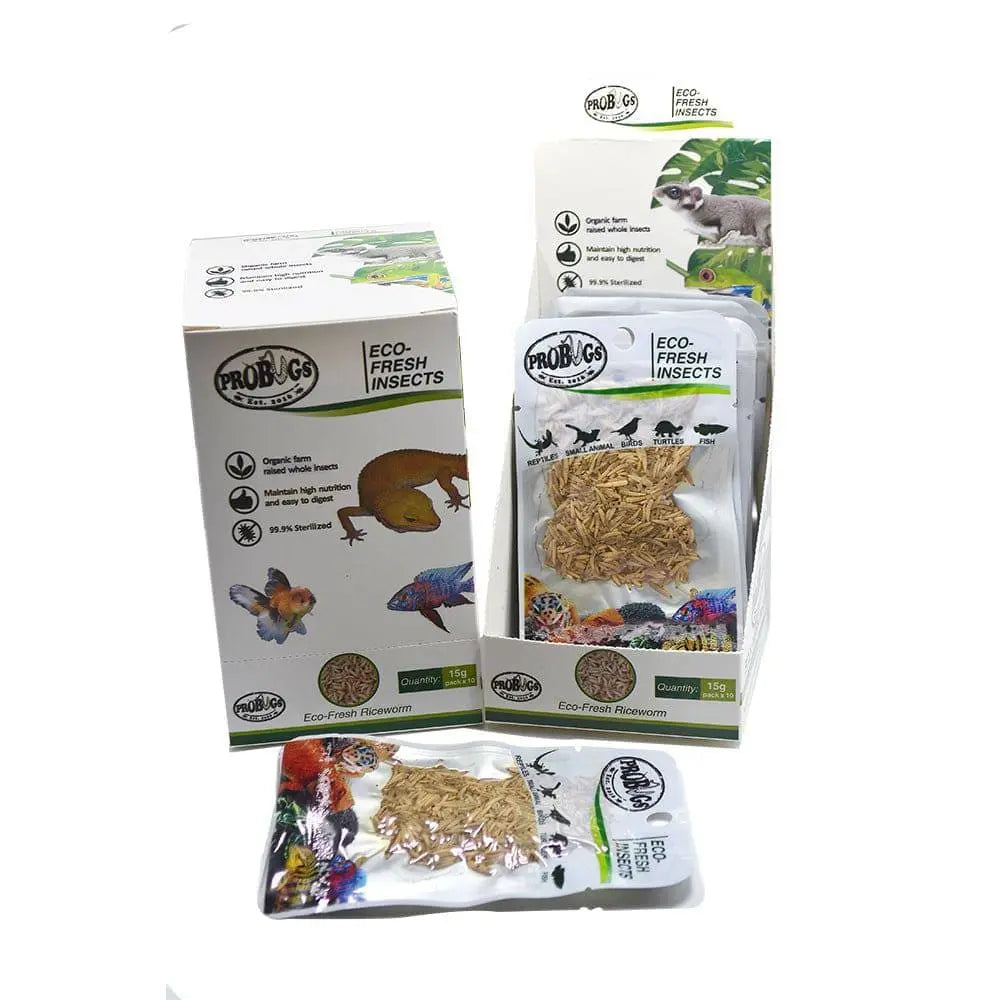 Eco-Fresh Pro Bugs Riceworm: Ideal Food for Finches, Conures, Tropical Fish & Frogs
