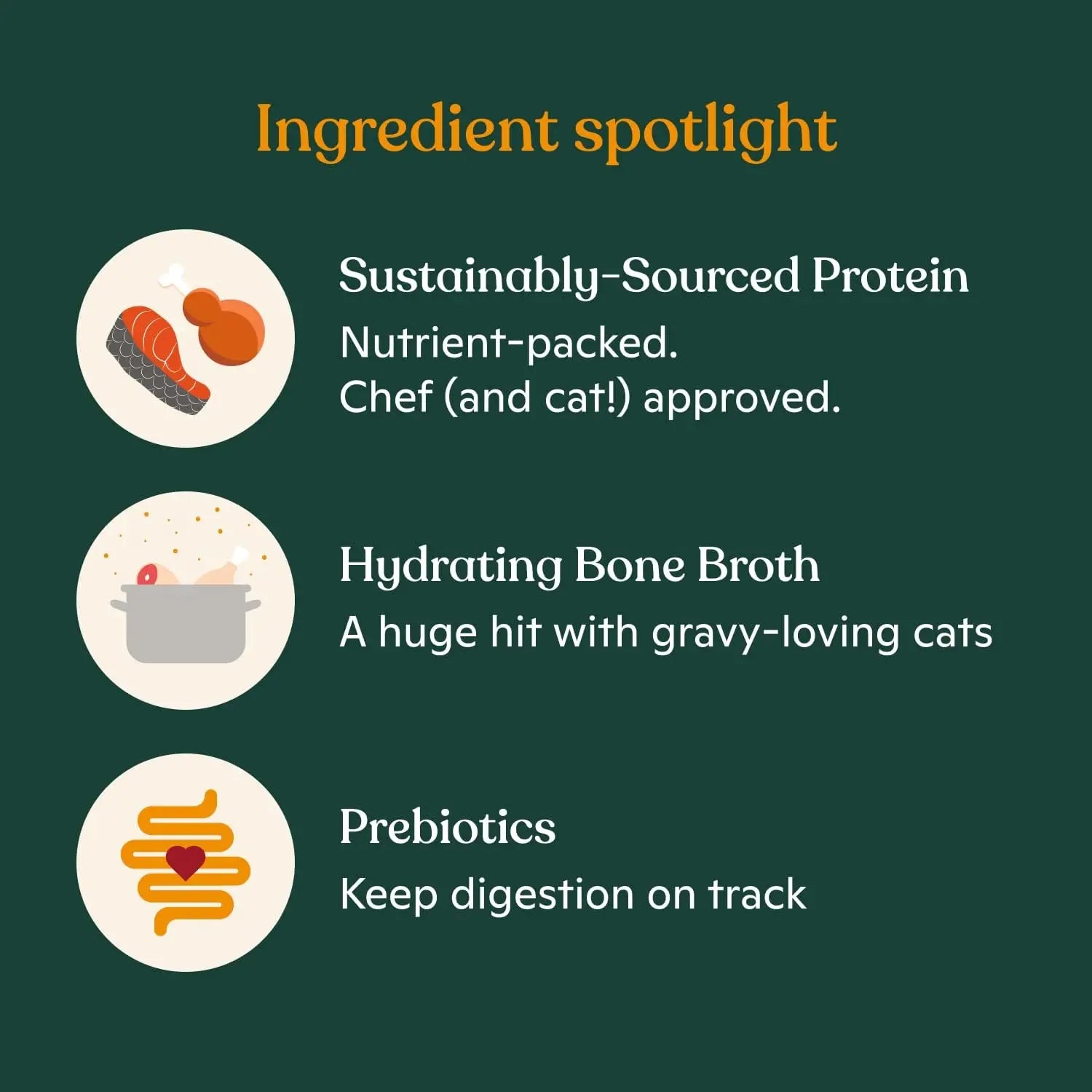 Made by Nacho Premium Cage-Free Minced Chicken Recipe Wet Cat Food with Nutritious Bone Broth, Pack of 10 - 2.5 oz Cans