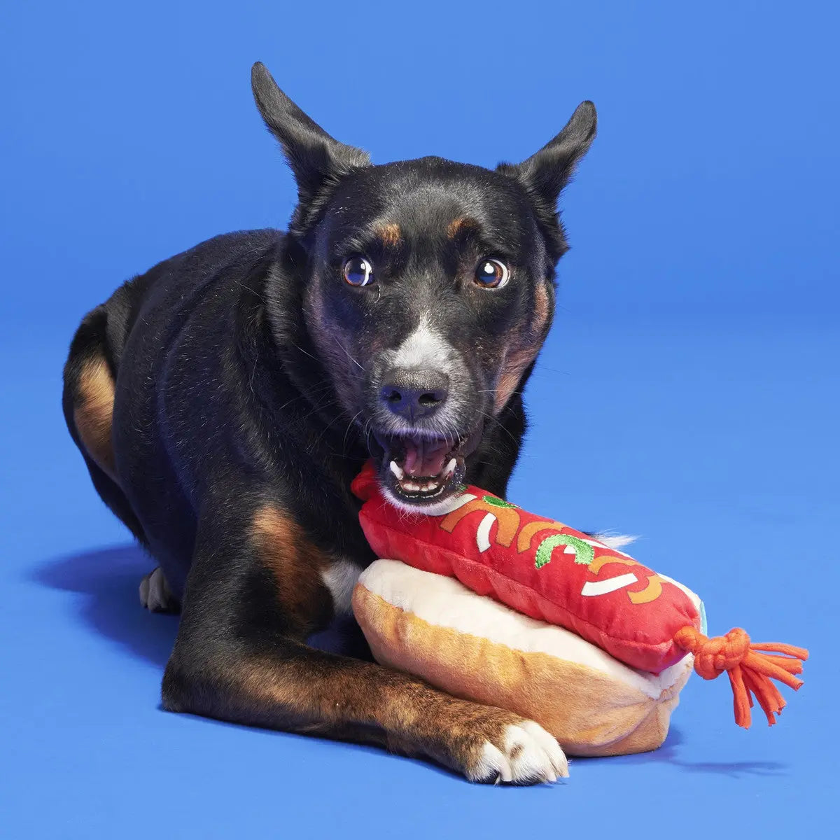 BARK Fourth Of July BBQ Plush Interactive Dog Toy for Patriotic Play