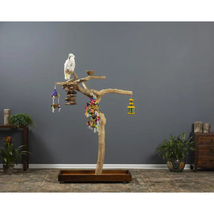 Prevue Pet Products Sustainable Coffeawood Floor Stand Perch Tree Style 2 for Large Birds