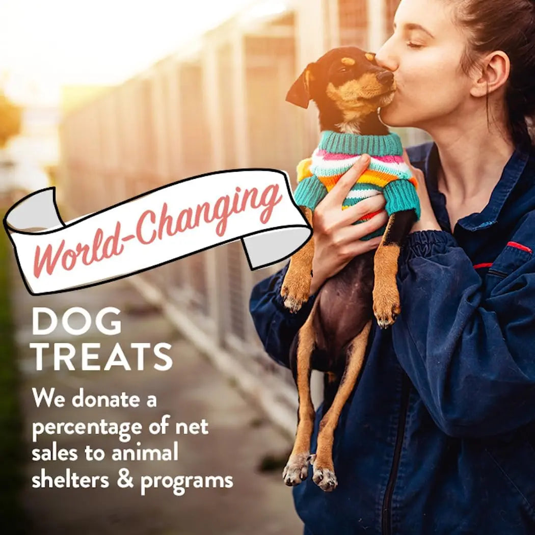 Portland Pet Food Co. 5oz Grain-Free & Gluten-Free Pumpkin Dog Biscuits