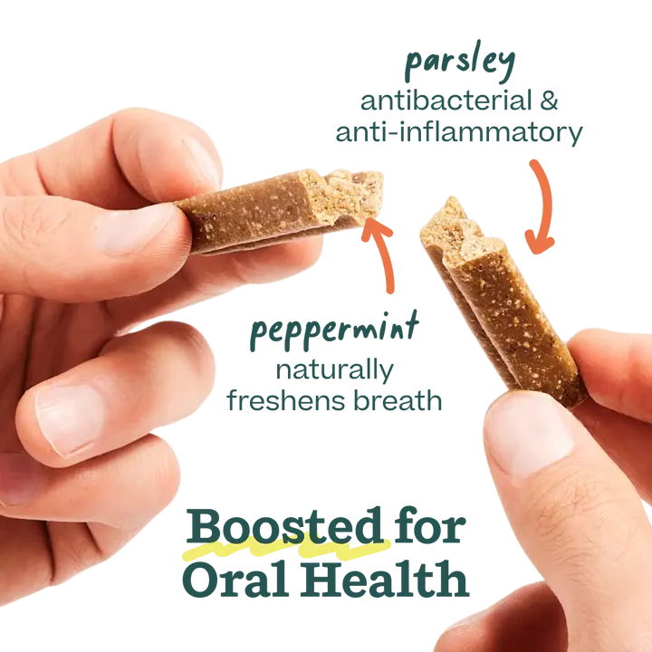 Woof Pet All - Natural Bite n' Brush Dental Treat Refills for Dogs