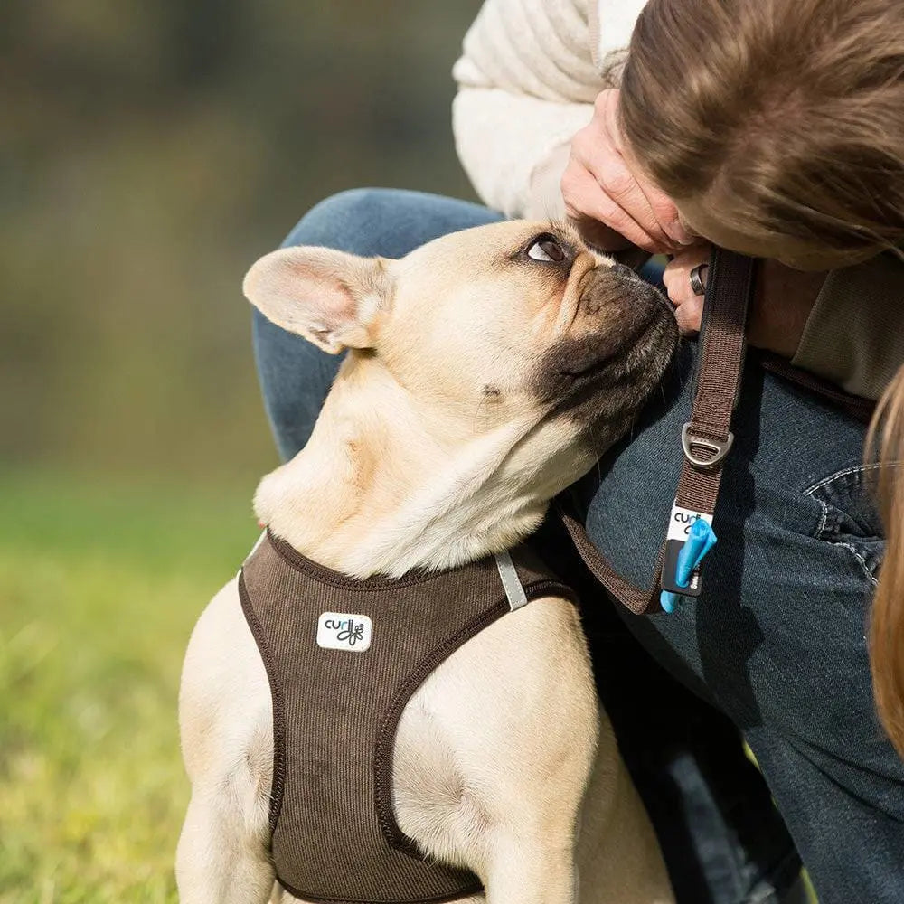 Lightweight Step-in Dog Harness with Air-Mesh Lining and Resistant Cord for Small Canines